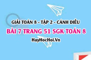 Bài 7 trang 51 Toán 8 Tập 2 Cánh Diều